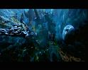 PDVD_2315