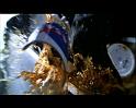 PDVD_2361