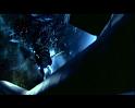 PDVD_2370