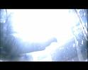 PDVD_2481
