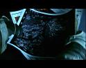 PDVD_2602