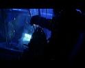 PDVD_2645