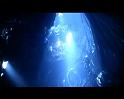 PDVD_2673