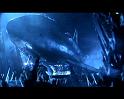 PDVD_2681