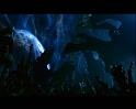 PDVD_2685