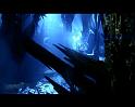 PDVD_2687