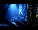 PDVD_2688