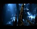 PDVD_2694