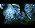 PDVD_2818