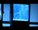 PDVD_2935