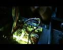 PDVD_3231