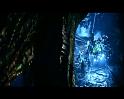 PDVD_3272