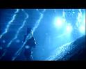 PDVD_3487