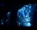 PDVD_3490