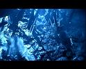 PDVD_3544