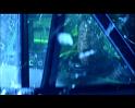 PDVD_3709