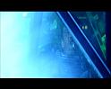 PDVD_3750