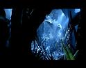 PDVD_3792