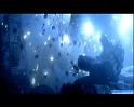 PDVD_3805