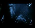 PDVD_4162