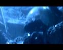 PDVD_4174