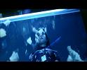 PDVD_4247
