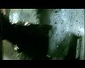 PDVD_559