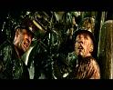 PDVD_590