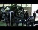 PDVD_676