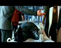 PDVD_1239