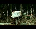 PDVD_1483