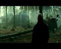 PDVD_1492