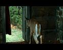 PDVD_1497