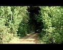 PDVD_204