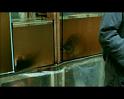 PDVD_256