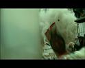 PDVD_298