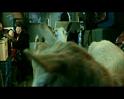 PDVD_324