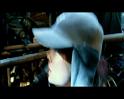 PDVD_424