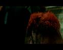 PDVD_488