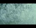PDVD_570