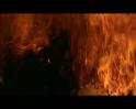PDVD_708