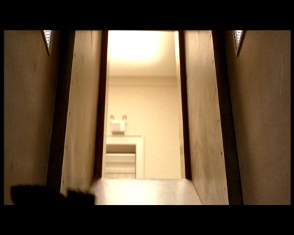 PDVD_1329.jpg