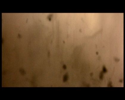 PDVD_1665.jpg