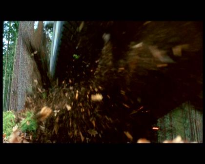PDVD_1770.jpg