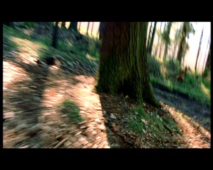 PDVD_1774.jpg