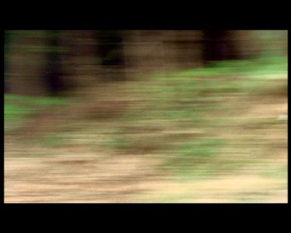 PDVD_1793.jpg