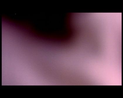 PDVD_2725.jpg