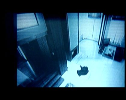 PDVD_536.jpg