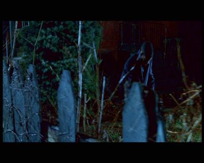 PDVD_750.jpg