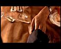 PDVD_1171